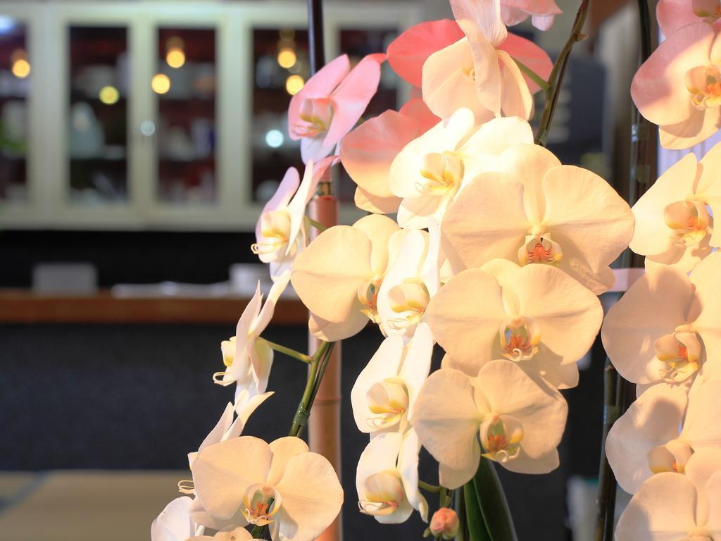 Hotel Grace Hakuba Dış mekan fotoğraf